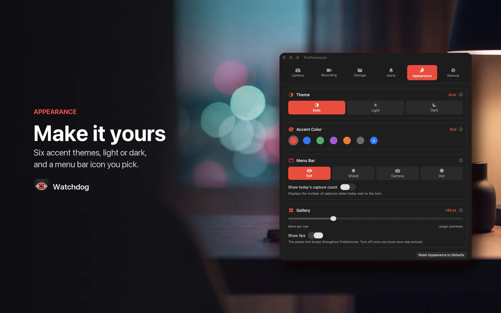 Theme, accent colour, and menu bar icon settings